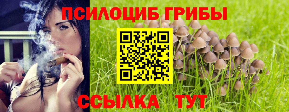 Альфа ПВП Богородицк